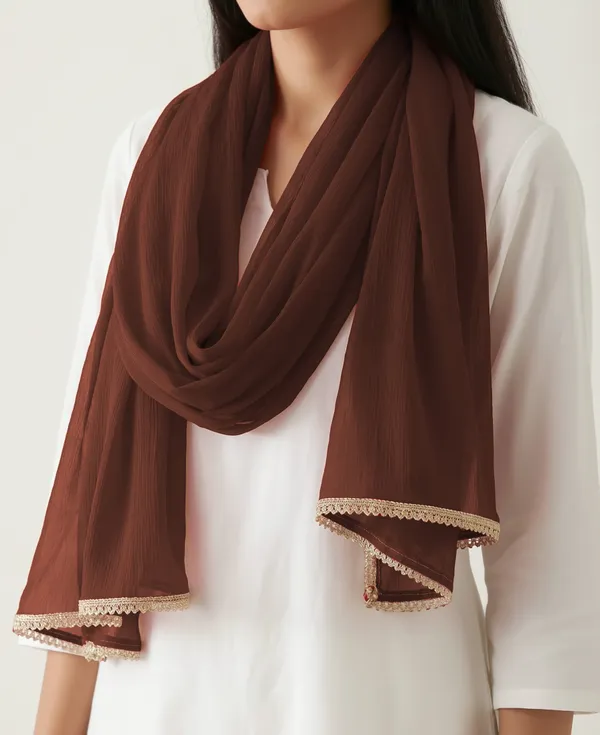 Brown_Chiffon_Embellished_Lace_Trim_Dupatta_For_Women