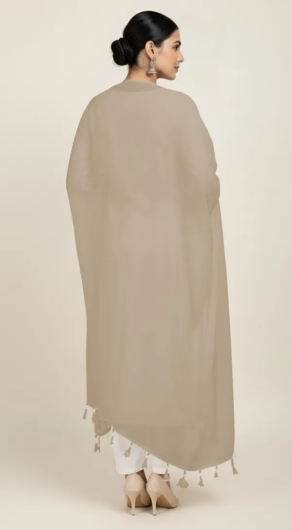 Beige_Sheer_Tassel_Dupatta_For_Women