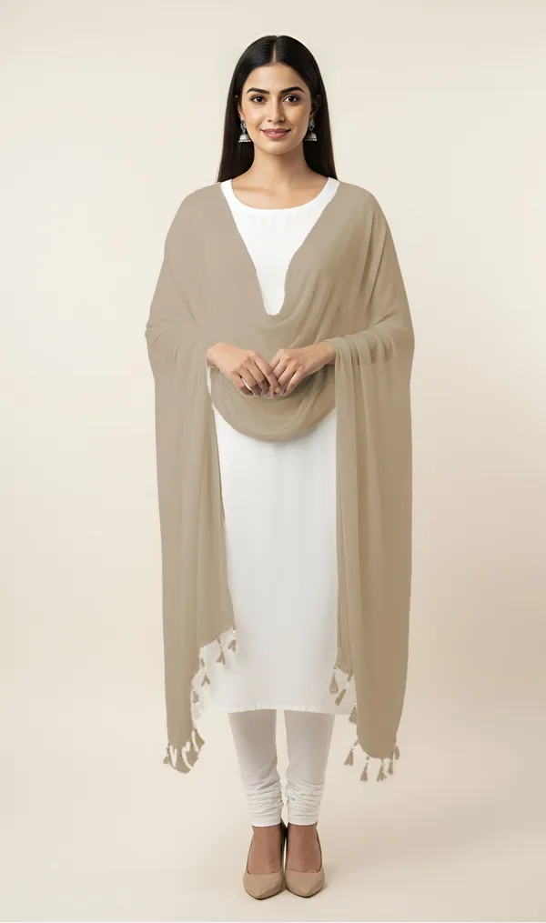 Beige_Sheer_Tassel_Dupatta_For_Women