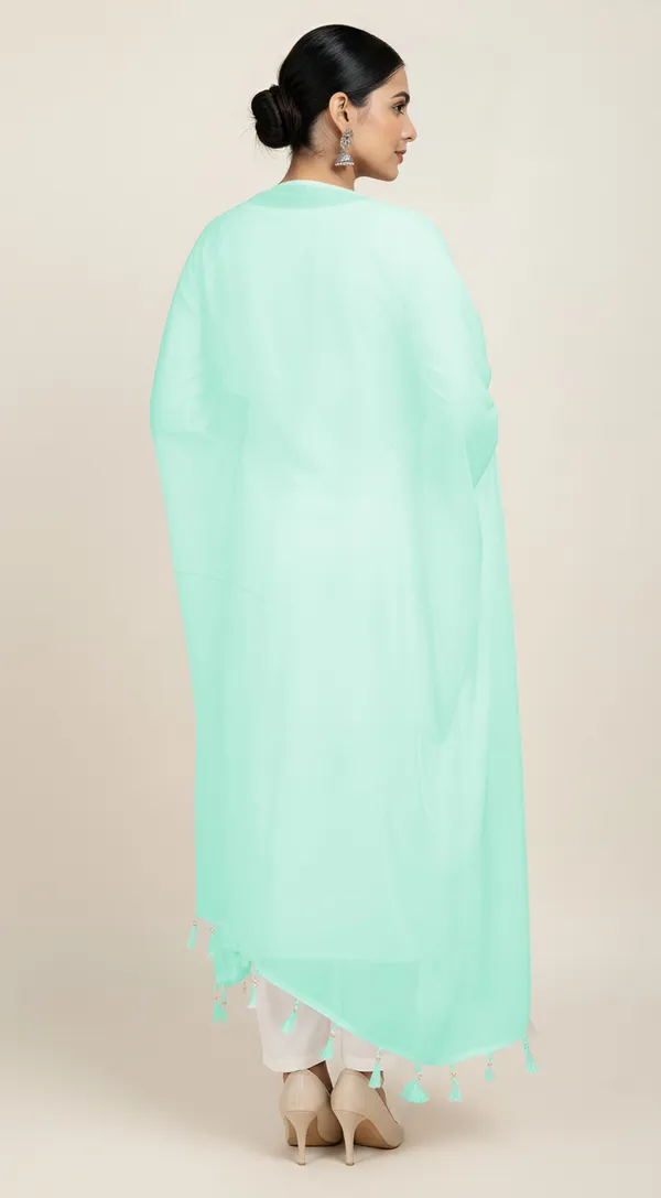 Mint_Green_Sheer_Tassel_Dupatta_for_Women