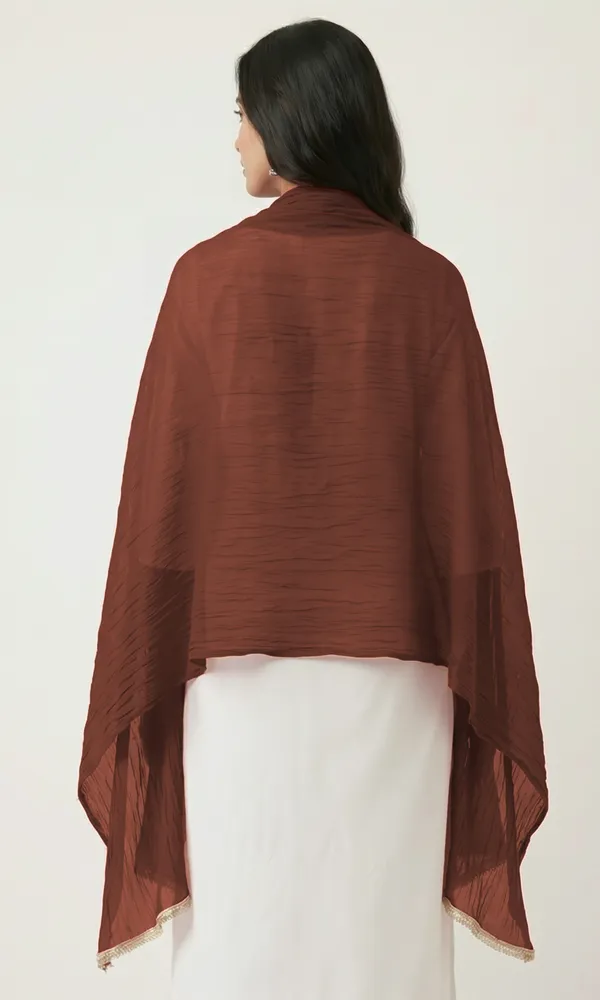 Brown_Chiffon_Embellished_Lace_Trim_Dupatta_For_Women