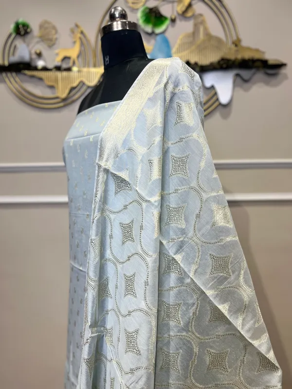 Light_Blue_Organza_Embroidered_Suit_for_Women