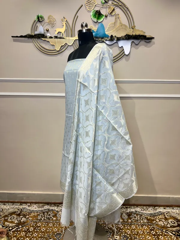 Light_Blue_Organza_Embroidered_Suit_for_Women