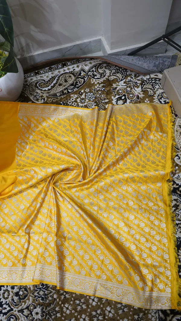 Banarasi_Mushroo_Silk_Contrast_Saree