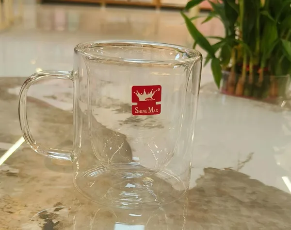 Borosilicate_Glass_Transparent_Solid_Mug