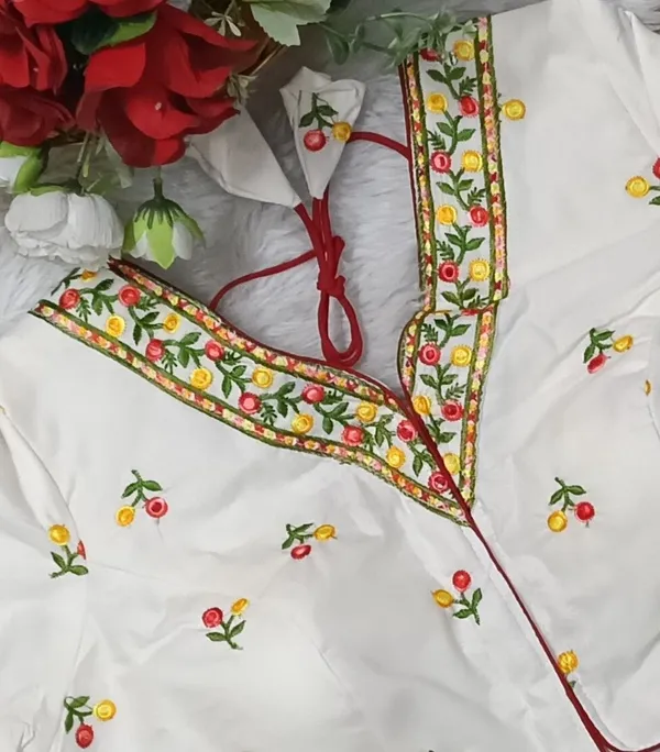 Kalapati_V-Neck_Women_Blouse_()