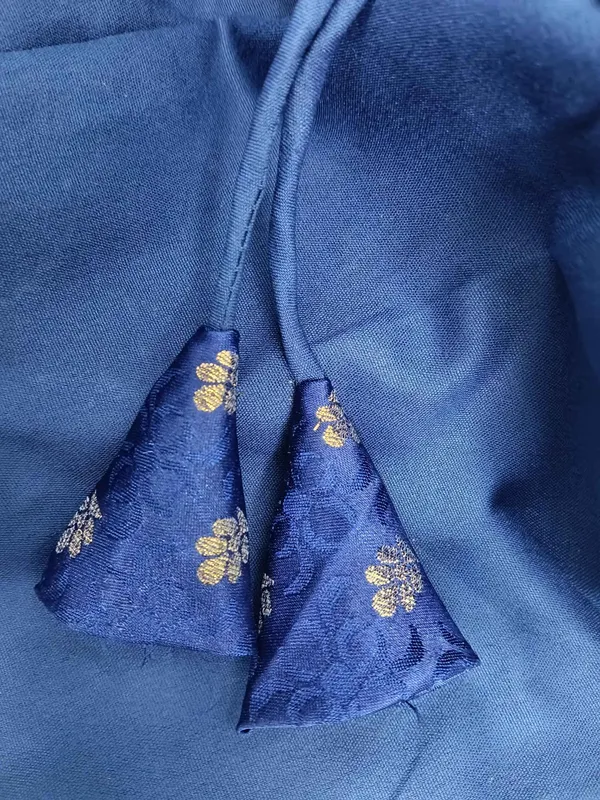 Kalapati_V-Neck_Women_Blouse_()
