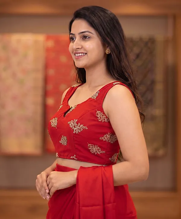 Kalapati_V-Neck_Women_Blouse_()