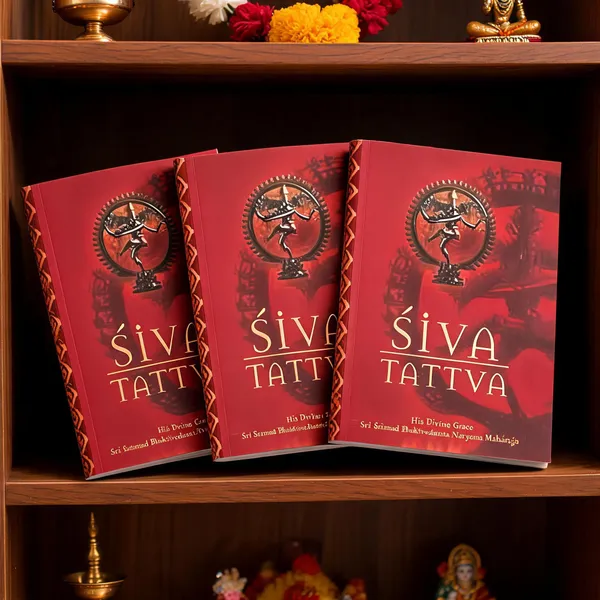 Siva_Tatva_Softcover_By_Srila_Narayana_Maharaja_-_Pack_of_3