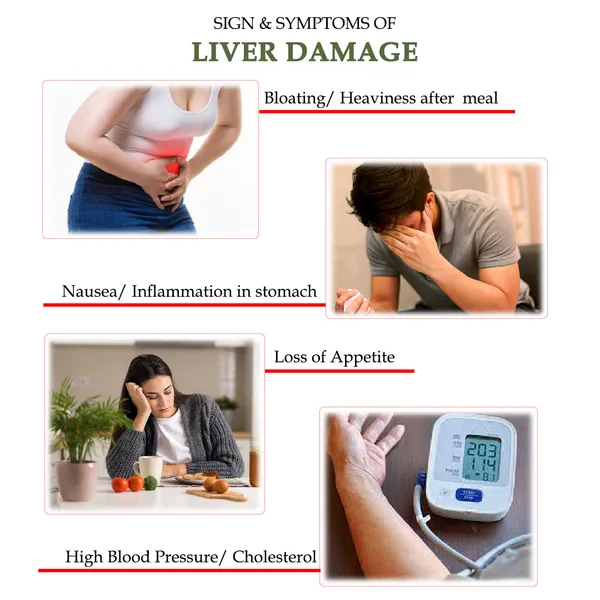 Hindrishi_Wellness_Combo_Pack_Of_3