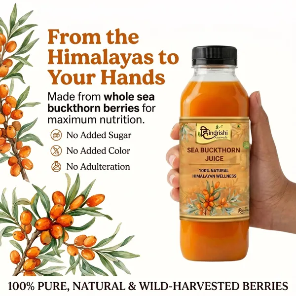 Hindrishi_Sea_Buckthorn_Juice_2_Bottles_1_Month