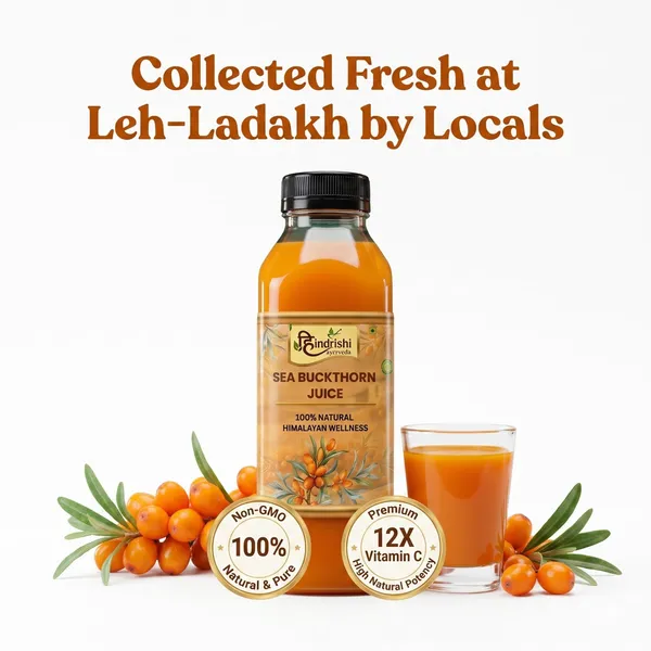 Hindrishi_Sea_Buckthorn_Juice_2_Bottles_1_Month