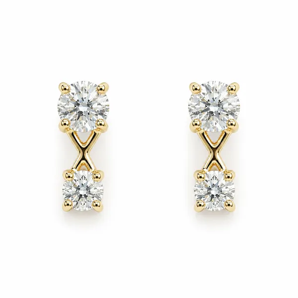 Gold_Tone_Double_Stone_Stud_Earrings_For_Women
