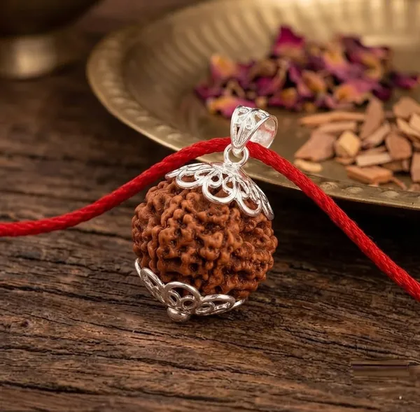 Brown_Rudraksha_Pancha_Mukhi_Pendant_for_Devotees