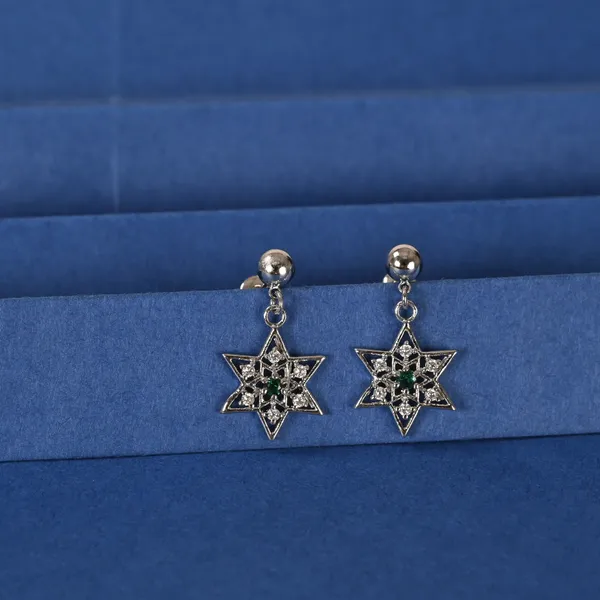 Zircon_Studded_Silver_Plated_Drop_Earrings