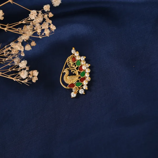 Gold_Plated_Nathiya