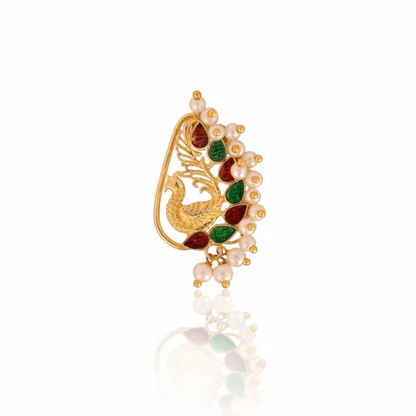 Gold_Plated_Nathiya