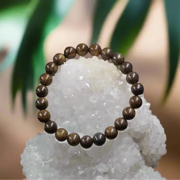 Bronzite_Bracelet_Confidence_Protection_Grounded_Power