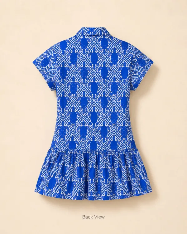 Blue_Printed_A-Line_Dress_for_Women