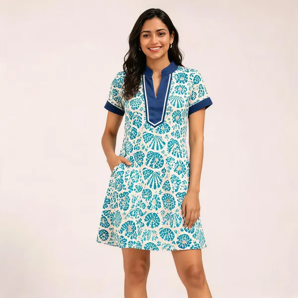 White_And_Blue_Printed_A-Line_Dress_for_Women