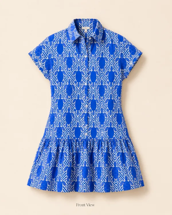 Blue_Printed_A-Line_Dress_for_Women