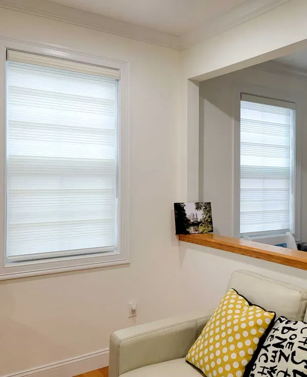 Pleated_Light_Passing_Zebra_Blinds_for_Windows,_Dual_Layer_Roller_Shades_for_Day_and_Night_Privacy,_Light_Filtering_Sheer_Blinds_for_Home_and_Office,_Modern_Window_Treatments_(Multiple_Colors_&_Sizes)