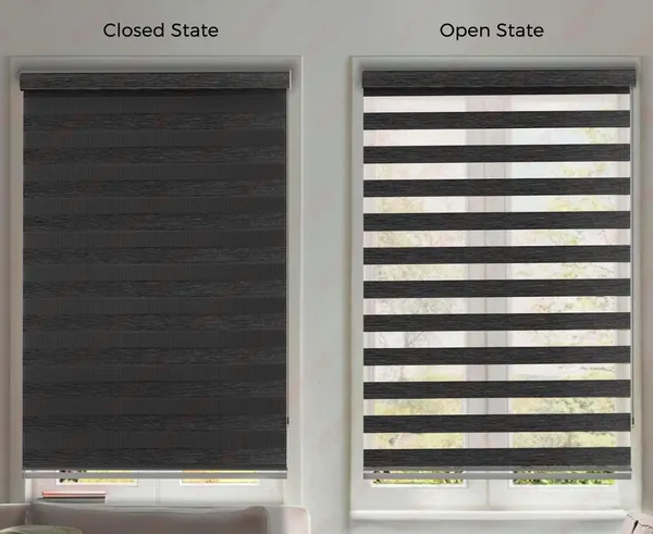 Zebra_Blinds_for_Windows,_Dual_Layer_Roller_Shades_for_Day_and_Night_Privacy,_Light_Filtering_Sheer_Blinds_for_Home_and_Office,_Modern_Window_Treatments_(Multiple_Colors_&_Sizes)