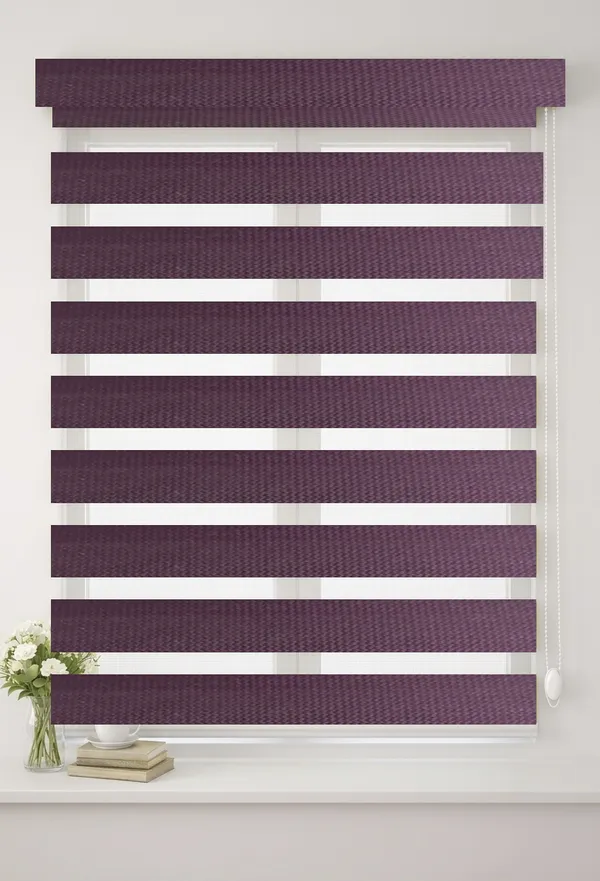 Zebra_Blinds_for_Windows,_Dual_Layer_Roller_Shades_for_Day_and_Night_Privacy,_Light_Filtering_Sheer_Blinds_for_Home_and_Office,_Modern_Window_Treatments_(Multiple_Colors_&_Sizes)