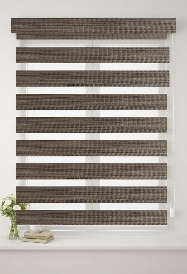 Blackout_Zebra_Blinds_for_Windows,_Dual_Layer_Roller_Shades_for_Day_and_Night_Privacy,_Light_Filtering_Sheer_Blinds_for_Home_and_Office,_Modern_Window_Treatments_(Multiple_Colors_&_Sizes)