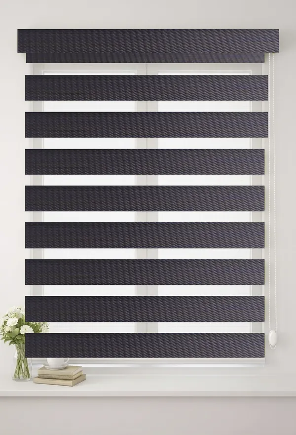 Blackout_Zebra_Blinds_for_Windows,_Dual_Layer_Roller_Shades_for_Day_and_Night_Privacy,_Light_Filtering_Sheer_Blinds_for_Home_and_Office,_Modern_Window_Treatments_(Multiple_Colors_&_Sizes)
