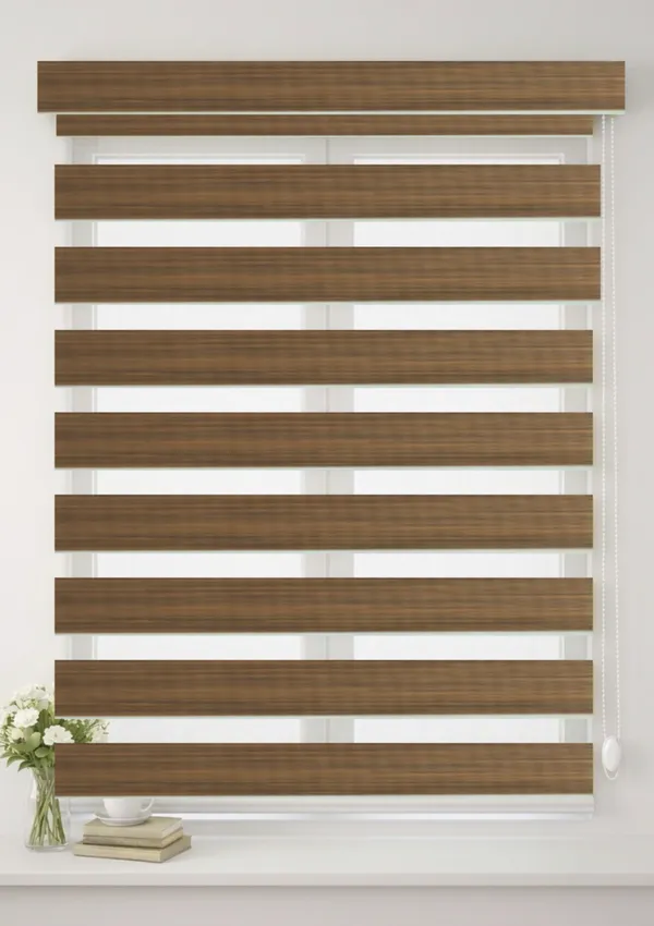 Blackout_Zebra_Blinds_for_Windows,_Dual_Layer_Roller_Shades_for_Day_and_Night_Privacy,_Light_Filtering_Sheer_Blinds_for_Home_and_Office,_Modern_Window_Treatments_(Multiple_Colors_&_Sizes)