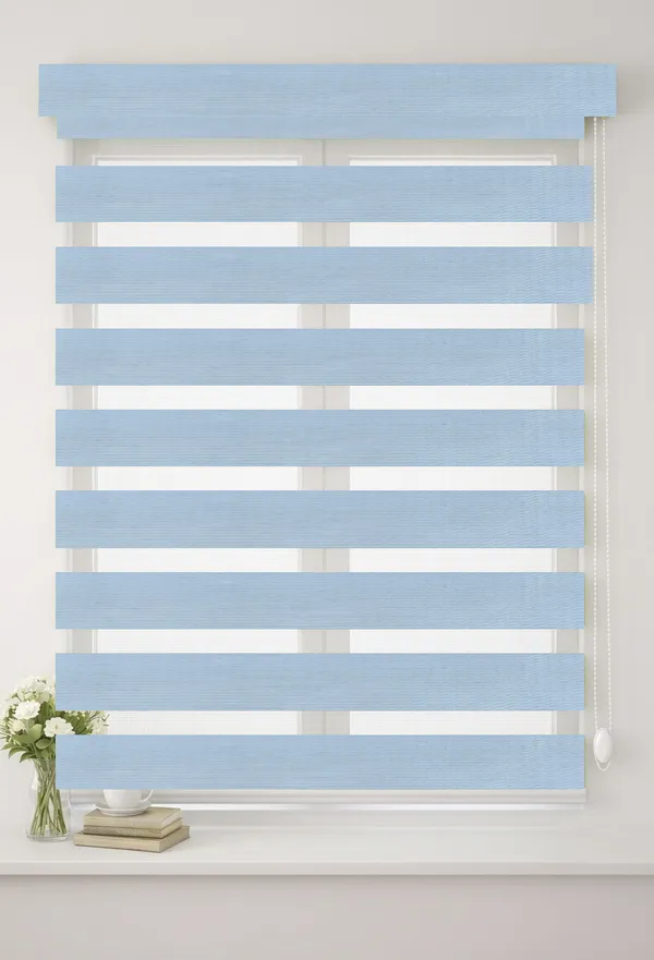 Blackout_Zebra_Blinds_for_Windows,_Dual_Layer_Roller_Shades_for_Day_and_Night_Privacy,_Light_Filtering_Sheer_Blinds_for_Home_and_Office,_Modern_Window_Treatments_(Multiple_Colors_&_Sizes)