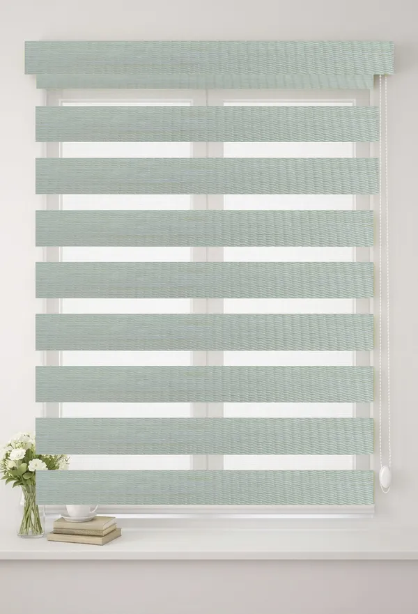 Blackout_Zebra_Blinds_for_Windows,_Dual_Layer_Roller_Shades_for_Day_and_Night_Privacy,_Light_Filtering_Sheer_Blinds_for_Home_and_Office,_Modern_Window_Treatments_(Multiple_Colors_&_Sizes)