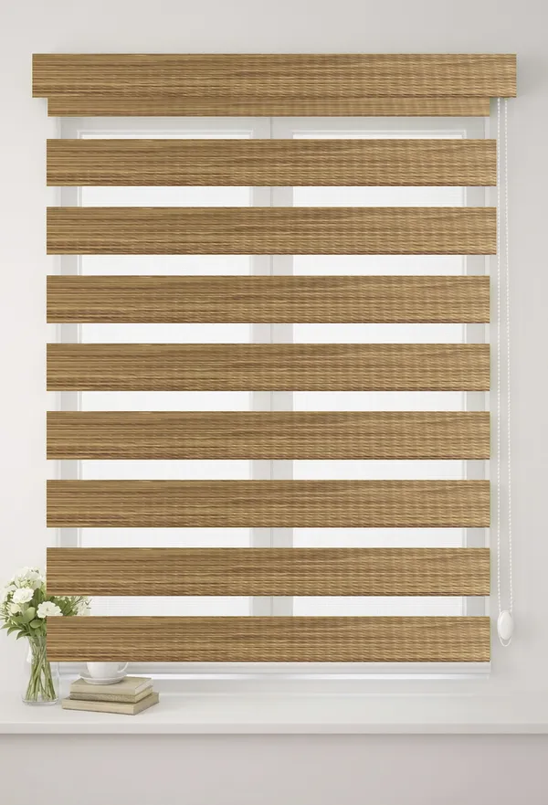 Blackout_Zebra_Blinds_for_Windows,_Dual_Layer_Roller_Shades_for_Day_and_Night_Privacy,_Light_Filtering_Sheer_Blinds_for_Home_and_Office,_Modern_Window_Treatments_(Multiple_Colors_&_Sizes)