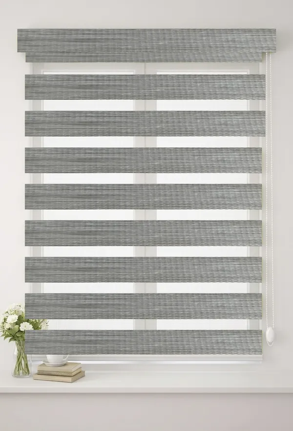 Blackout_Zebra_Blinds_for_Windows,_Dual_Layer_Roller_Shades_for_Day_and_Night_Privacy,_Light_Filtering_Sheer_Blinds_for_Home_and_Office,_Modern_Window_Treatments_(Multiple_Colors_&_Sizes)