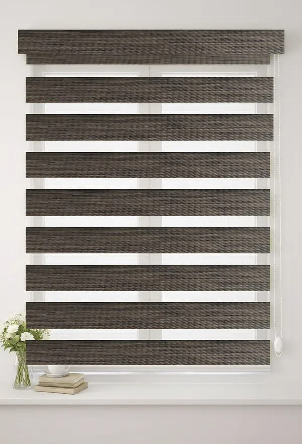 Blackout_Zebra_Blinds_for_Windows,_Dual_Layer_Roller_Shades_for_Day_and_Night_Privacy,_Light_Filtering_Sheer_Blinds_for_Home_and_Office,_Modern_Window_Treatments_(Multiple_Colors_&_Sizes)