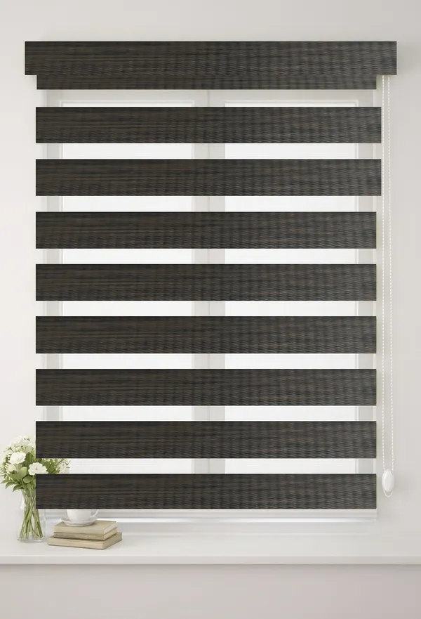 Blackout_Zebra_Blinds_for_Windows,_Dual_Layer_Roller_Shades_for_Day_and_Night_Privacy,_Light_Filtering_Sheer_Blinds_for_Home_and_Office,_Modern_Window_Treatments_(Multiple_Colors_&_Sizes)