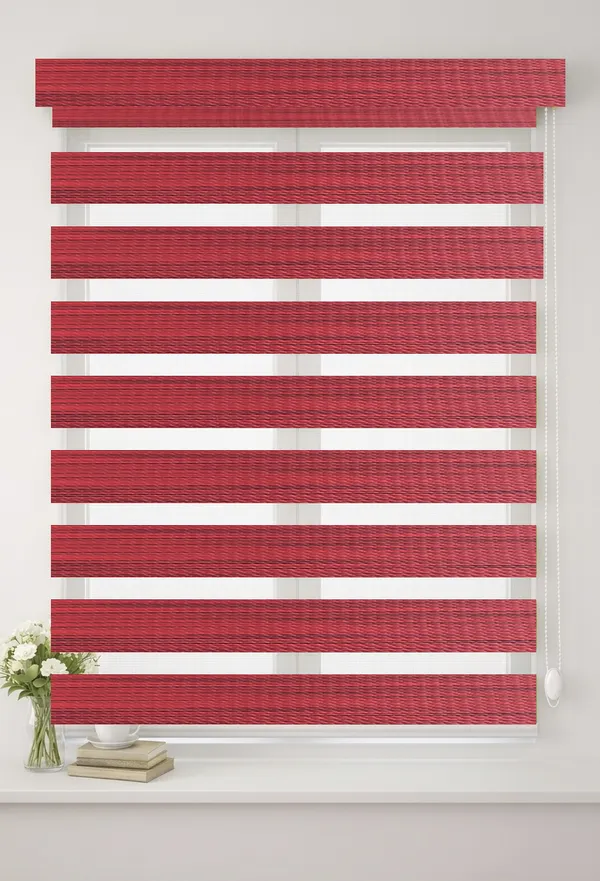 Blackout_Zebra_Blinds_for_Windows,_Dual_Layer_Roller_Shades_for_Day_and_Night_Privacy,_Light_Filtering_Sheer_Blinds_for_Home_and_Office,_Modern_Window_Treatments_(Multiple_Colors_&_Sizes)