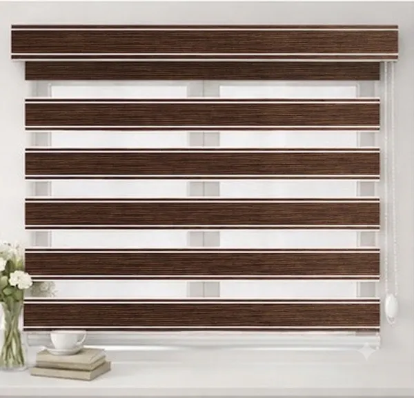 Zebra_Blinds_for_Windows,_Dual_Layer_Roller_Shades_for_Day_and_Night_Privacy,_Light_Filtering_Sheer_Blinds_for_Home_and_Office,_Modern_Window_Treatments_(Multiple_Colors_&_Sizes)