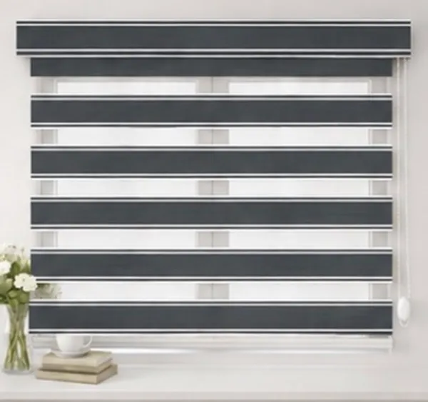 Zebra_Blinds_for_Windows,_Dual_Layer_Roller_Shades_for_Day_and_Night_Privacy,_Light_Filtering_Sheer_Blinds_for_Home_and_Office,_Modern_Window_Treatments_(Multiple_Colors_&_Sizes)