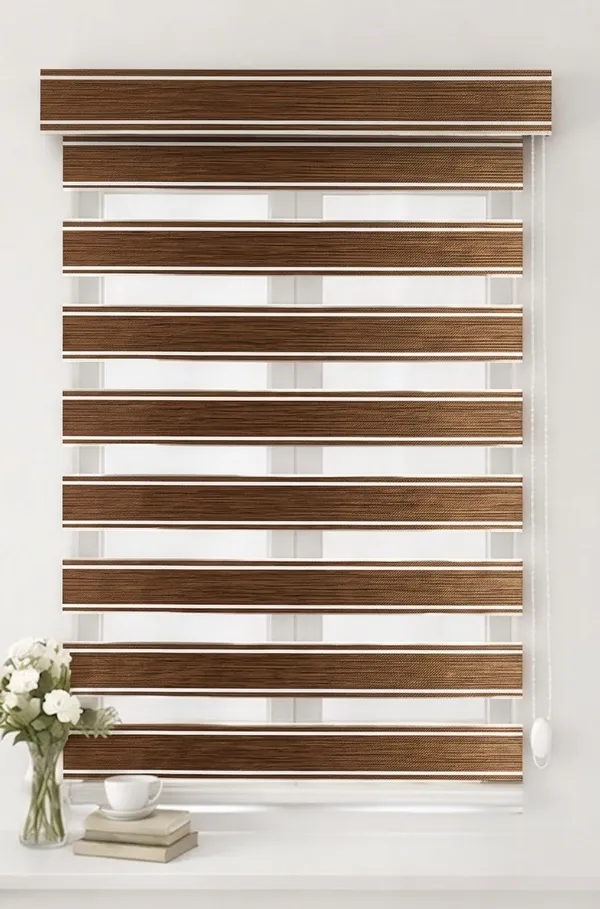 Zebra_Blinds_for_Windows,_Dual_Layer_Roller_Shades_for_Day_and_Night_Privacy,_Light_Filtering_Sheer_Blinds_for_Home_and_Office,_Modern_Window_Treatments_(Multiple_Colors_&_Sizes)