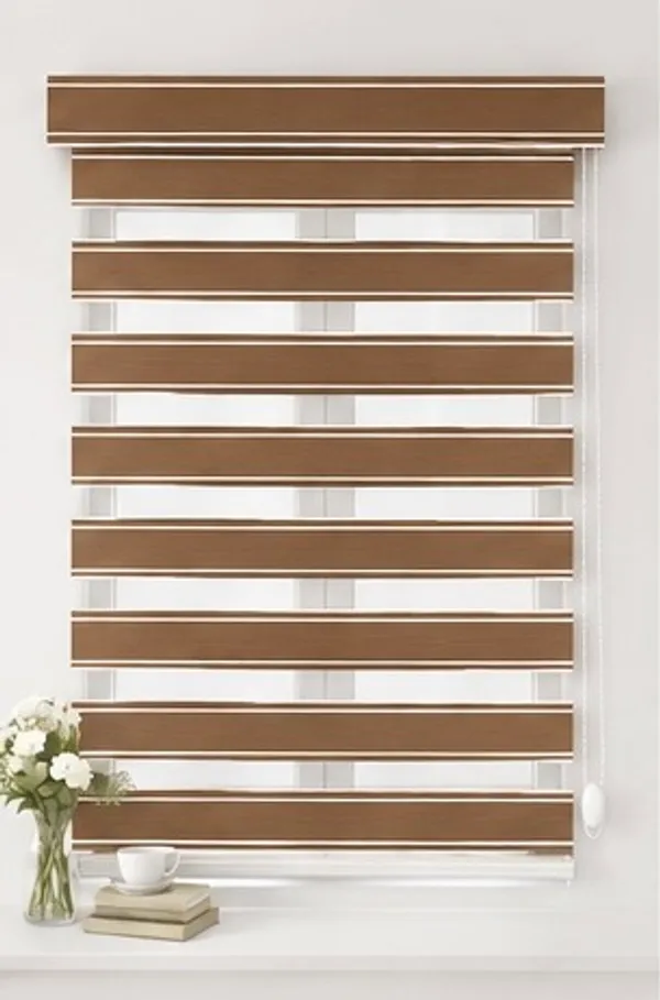 Zebra_Blinds_for_Windows,_Dual_Layer_Roller_Shades_for_Day_and_Night_Privacy,_Light_Filtering_Sheer_Blinds_for_Home_and_Office,_Modern_Window_Treatments_(Multiple_Colors_&_Sizes)