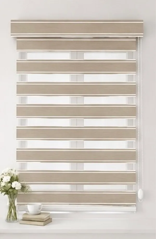 Zebra_Blinds_for_Windows,_Dual_Layer_Roller_Shades_for_Day_and_Night_Privacy,_Light_Filtering_Sheer_Blinds_for_Home_and_Office,_Modern_Window_Treatments_(Multiple_Colors_&_Sizes)