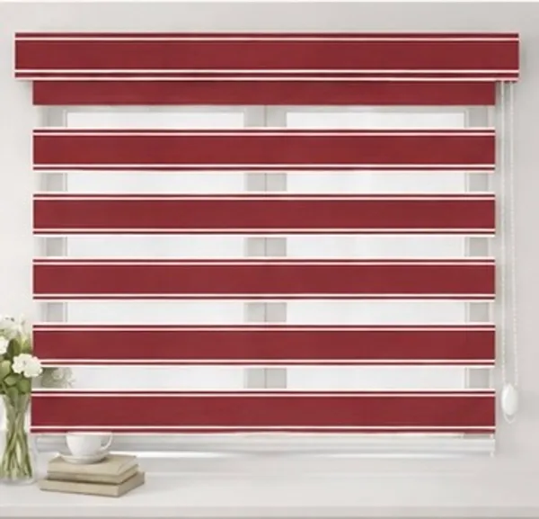 Zebra_Blinds_for_Windows,_Dual_Layer_Roller_Shades_for_Day_and_Night_Privacy,_Light_Filtering_Sheer_Blinds_for_Home_and_Office,_Modern_Window_Treatments_(Multiple_Colors_&_Sizes)