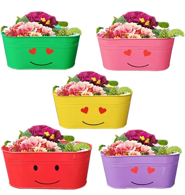 Metal_Playful_Smiley_Pattern_Flower_Planter_pack_of_5