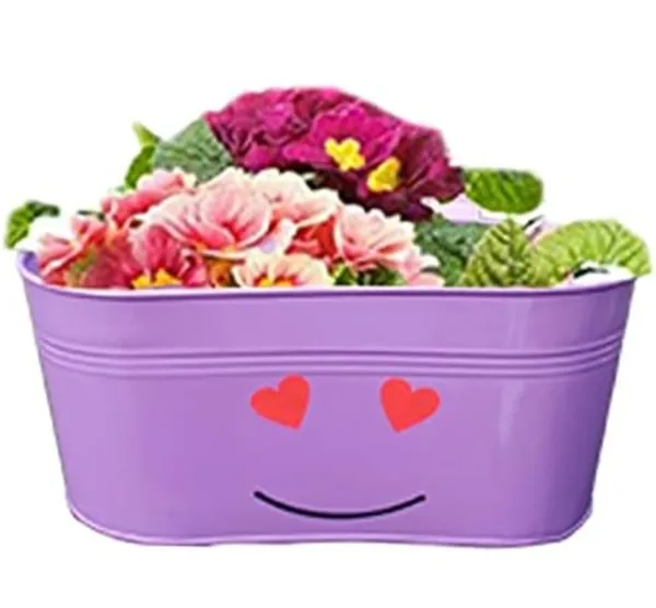 Metal_Playful_Smiley_Pattern_Flower_Planter_pack_of_5