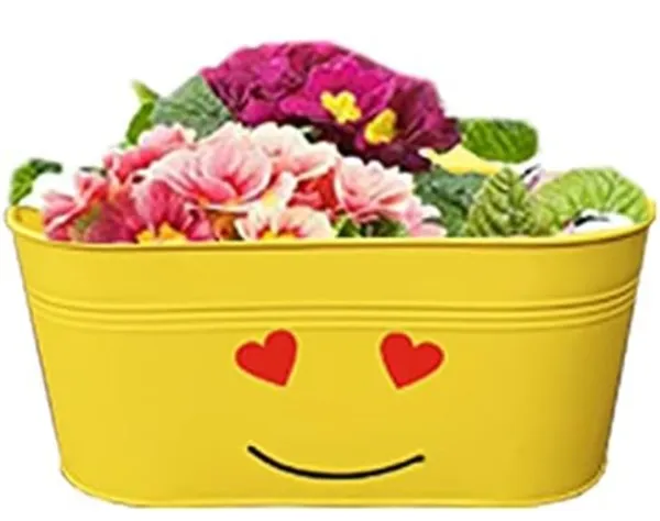 Metal_Playful_Smiley_Pattern_Flower_Planter_pack_of_5