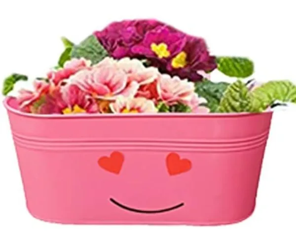 Metal_Playful_Smiley_Pattern_Flower_Planter_pack_of_5