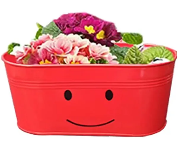 Metal_Playful_Smiley_Pattern_Flower_Planter_pack_of_5
