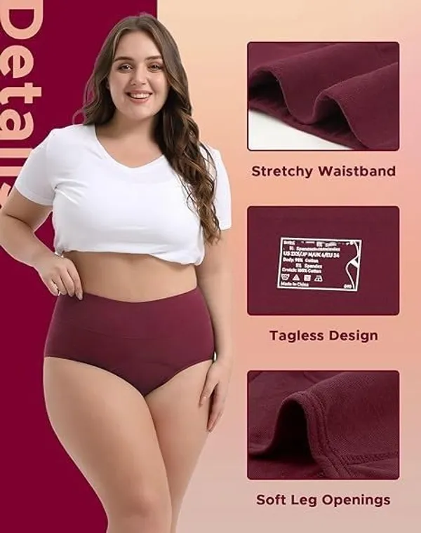 Women_S_High_Waisted_Period_Underwear